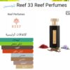 reef 33