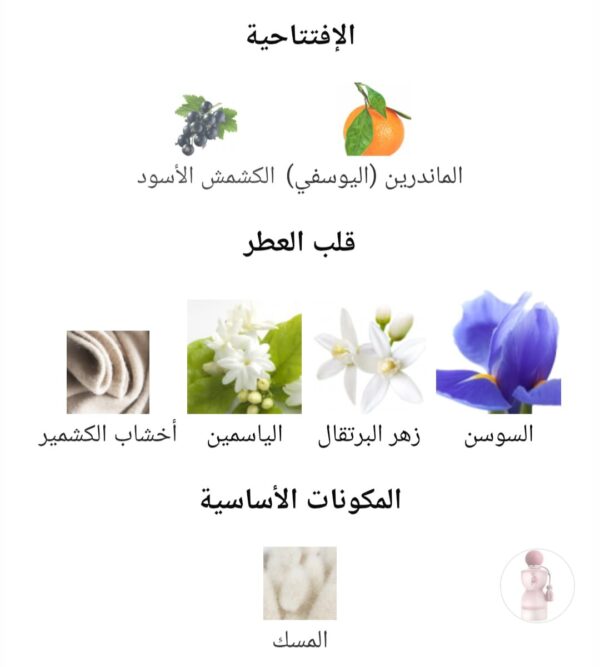 WhatsApp Image 2025-07-23 at 3.30.33 PM (3) sense