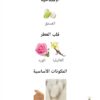 WhatsApp Image 2025-10-06 at 5.15.02 PM (1) مسك بستاشيو من اثراء دبي