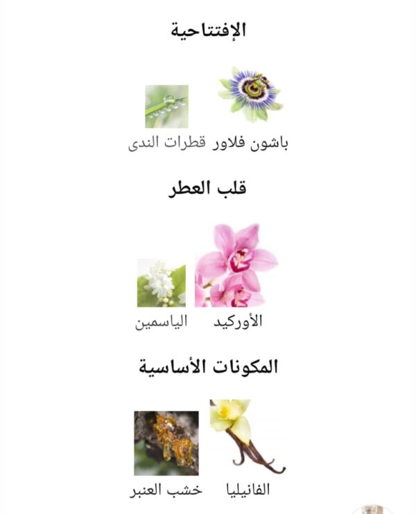 WhatsApp Image 2025-10-22 at 10.24.18 PM (5) اثيري