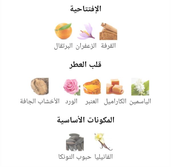 WhatsApp Image 2025-10-27 at 3.54.23 PM (4) signature rose gold