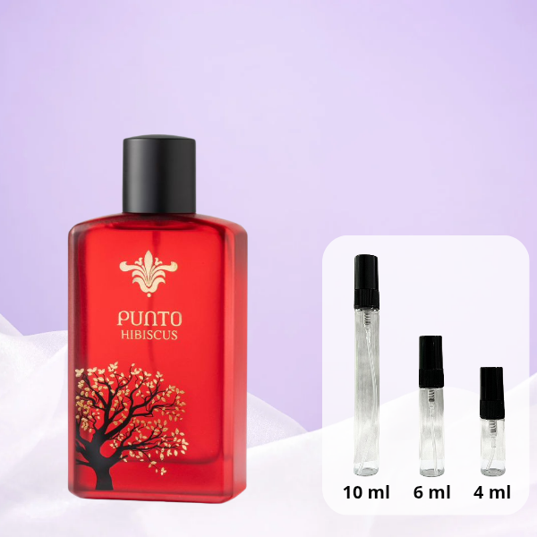 2025/11/1000477224-1.png punto hibiscus