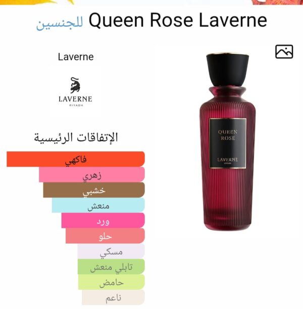 WhatsApp Image 2025-11-13 at 11.09.21 AM queen rose