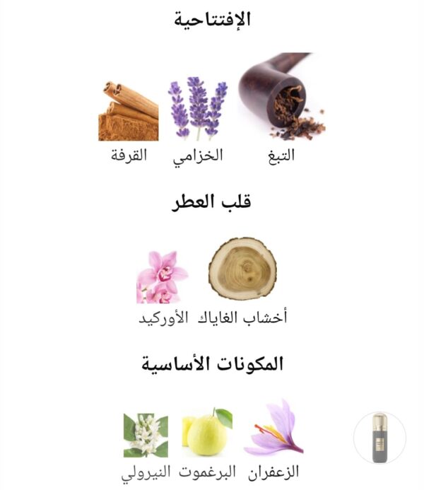 WhatsApp Image 2025-11-13 at 11.09.22 AM (5) dominican tobacco