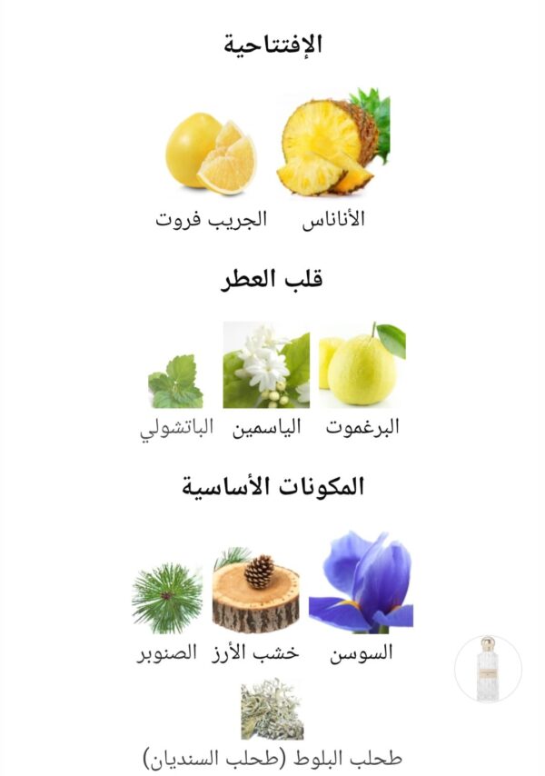 WhatsApp Image 2025-11-13 at 11.09.23 AM (2) cullinan diamond lris