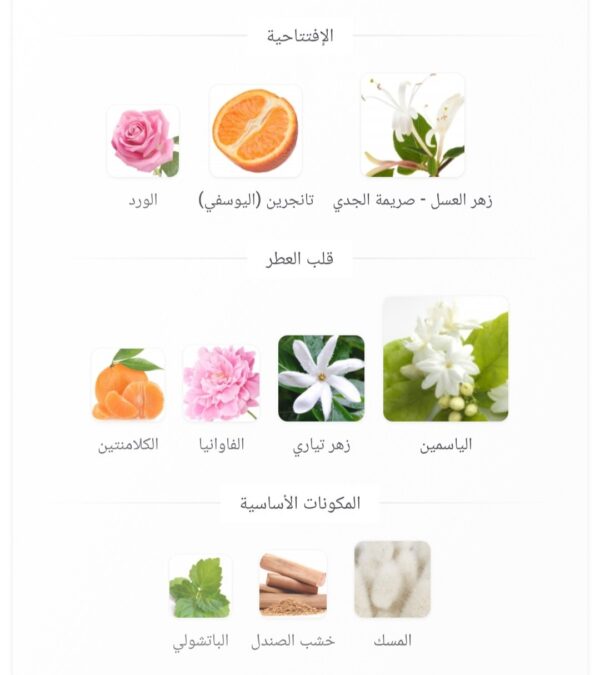 2026/03/1000569395.jpg burbrry london